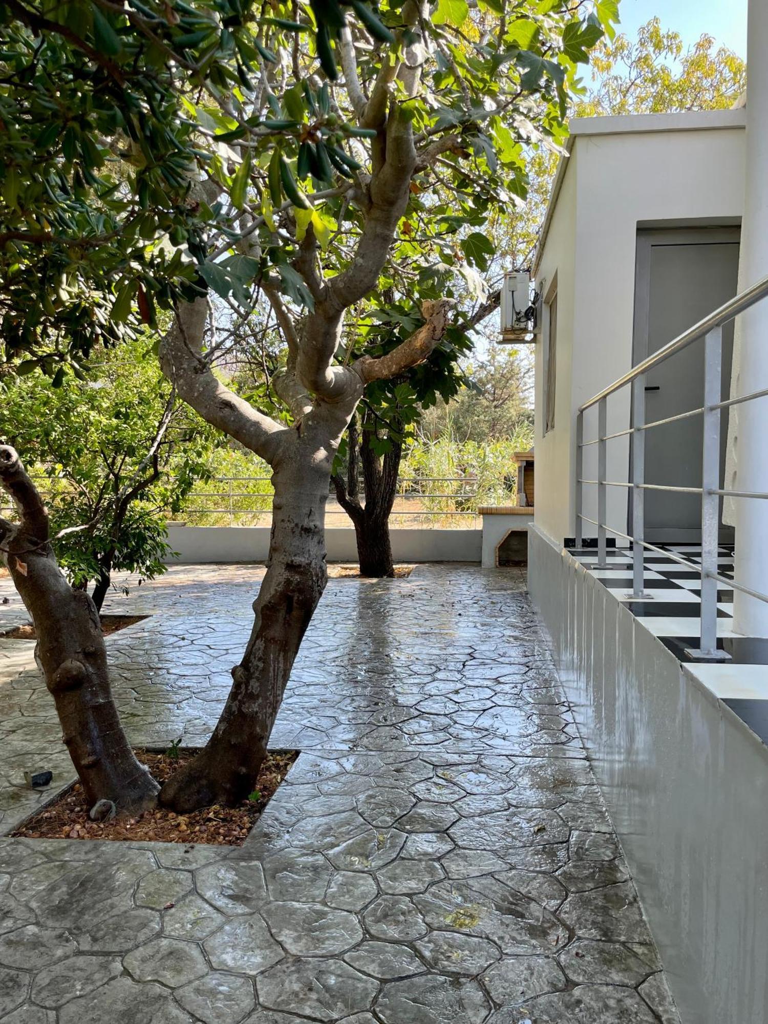 Architect'S Summer House By The Beach Pórto Ráfti Kültér fotó